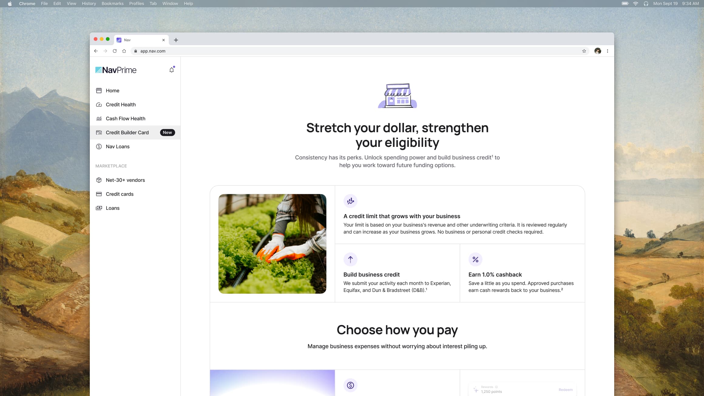 Credit Builder Card landing page
